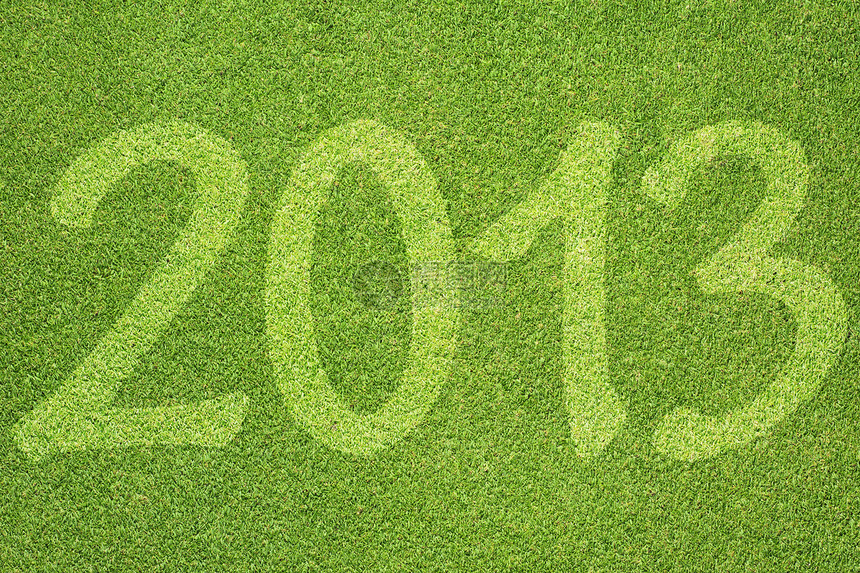 2013 年绿草质地和背景情况图片