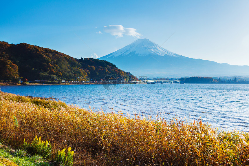 秋天富士山与湖图片