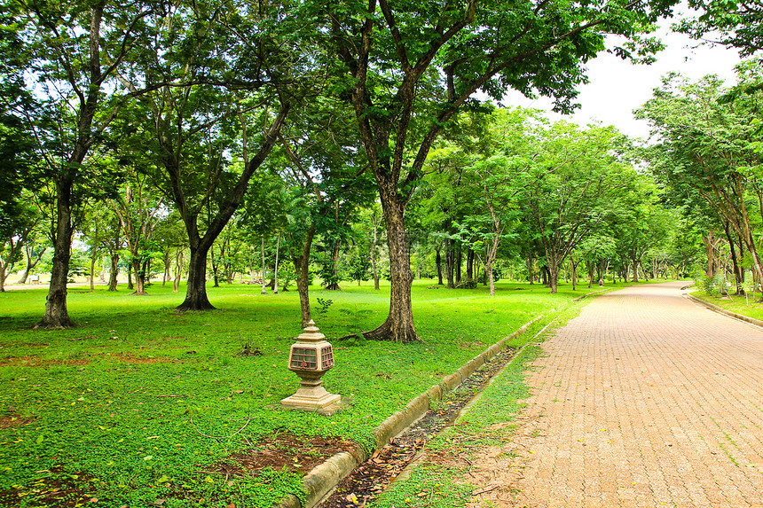 公园的走道环境叶子绿色树木季节美丽人行道花园小路植物图片