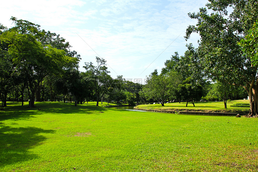 公园绿树木头森林植物土地风景季节绿色场地草地美丽图片
