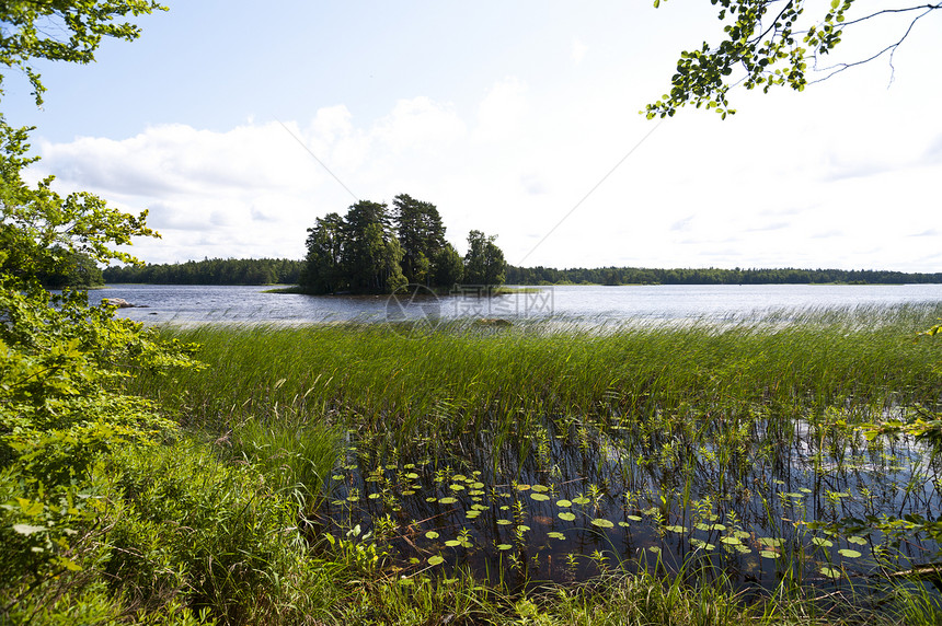 瑞典Asnen湖旅行牧歌水域森林树木自然保护区天空图片