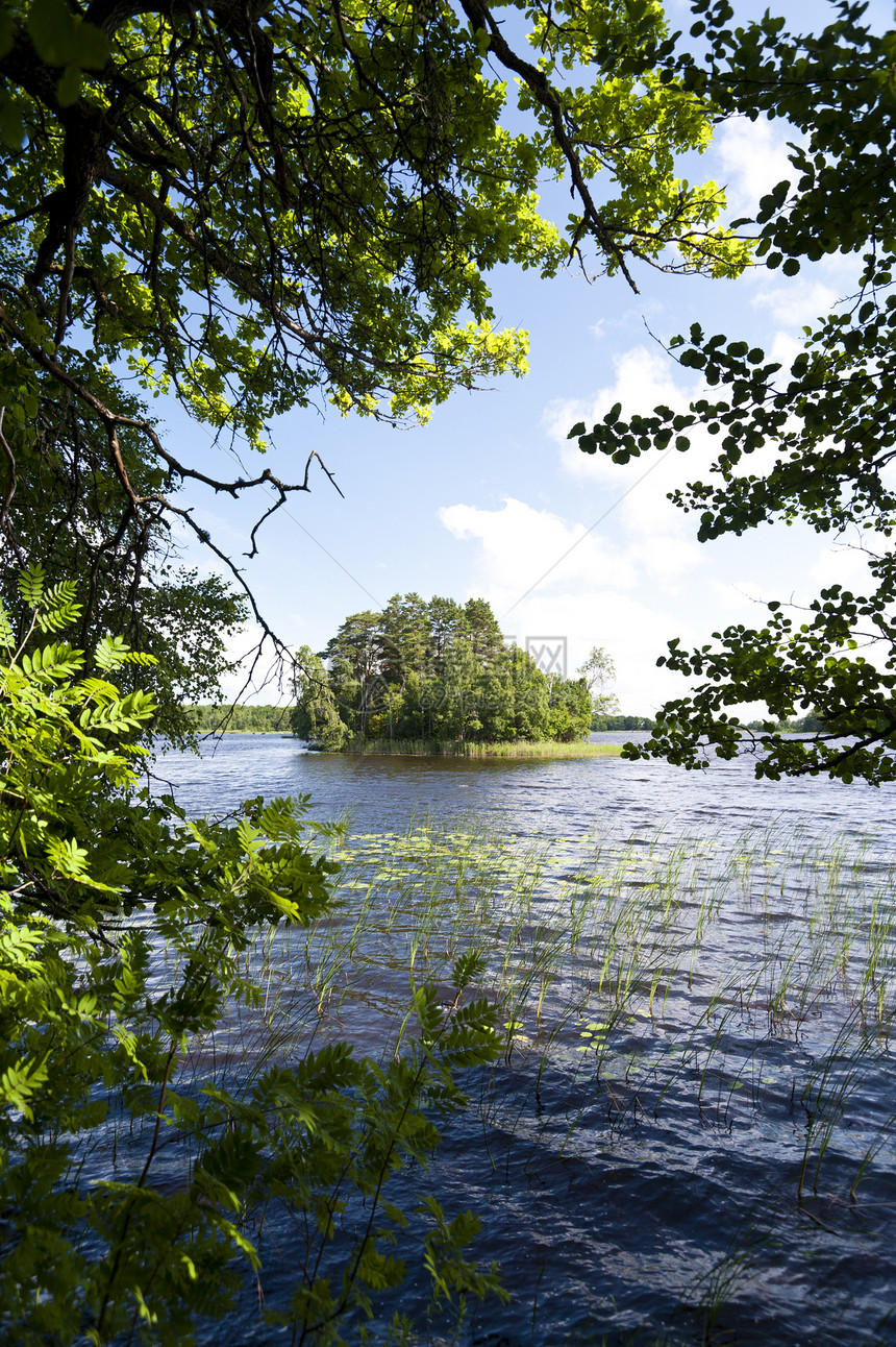 瑞典Asnen湖自然保护区牧歌天空旅行树木水域森林图片