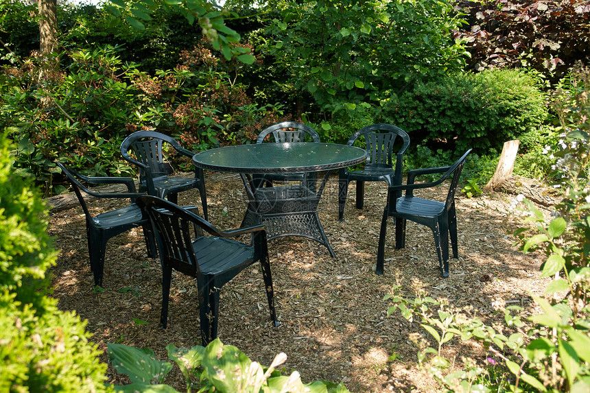 古典花园家具后院绿化季节场景草地座位装饰植物椅子叶子图片