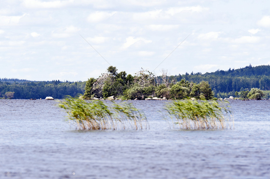 瑞典Asnen湖牧歌天空自然保护区水域树木旅行森林图片