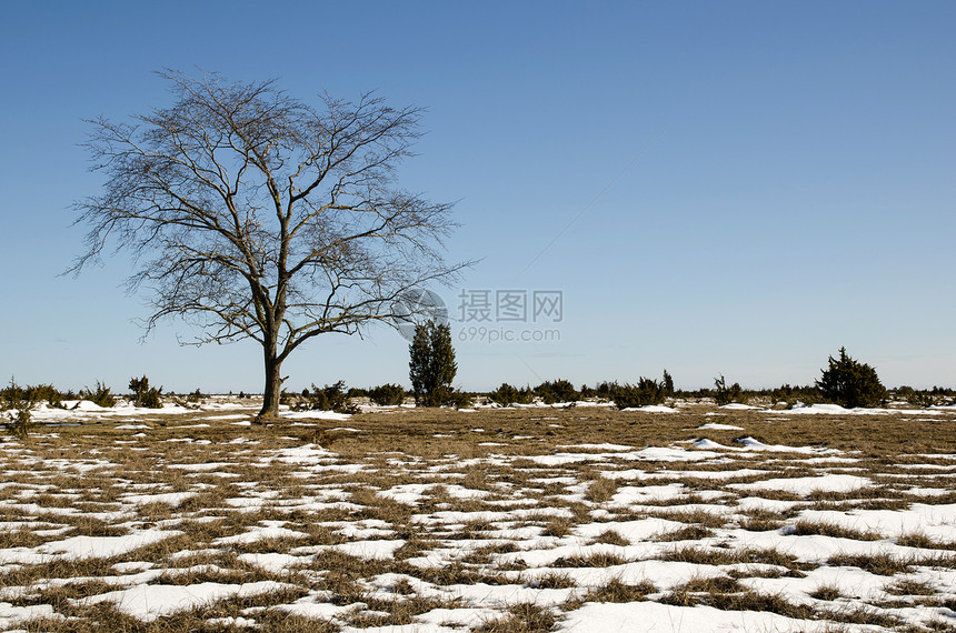 熔雪模式图片