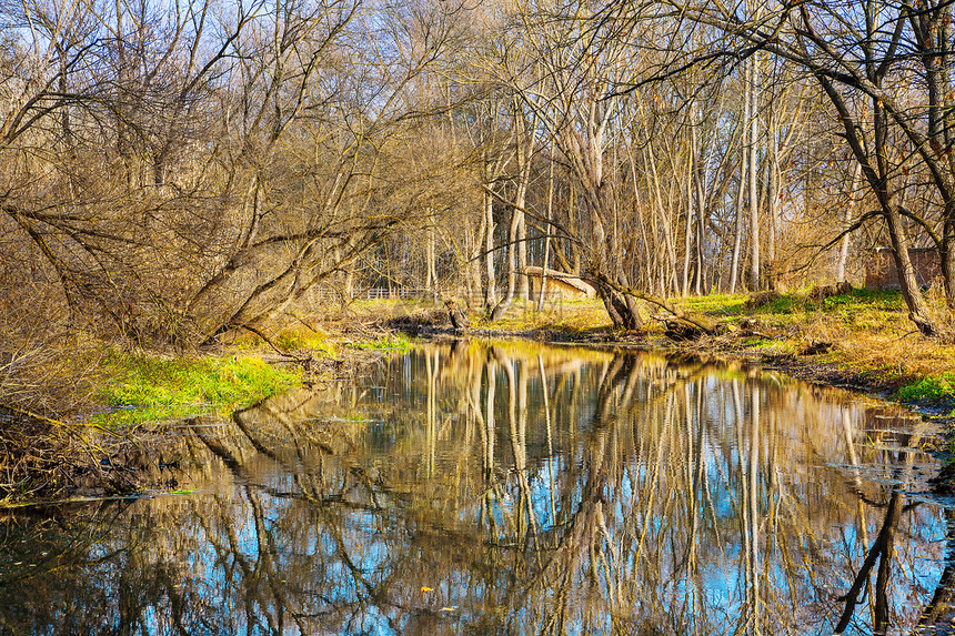 秋季森林中的河流季节蓝色风景地形荒野溪流树木旅行反射天空图片