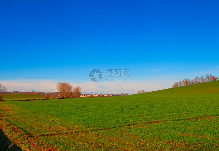 横向景观白色橡木绘画天空花园木头公园森林植物学生长图片