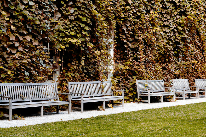 秋公园和步行道的木板凳车道停留空气公园健康木头绿色图片