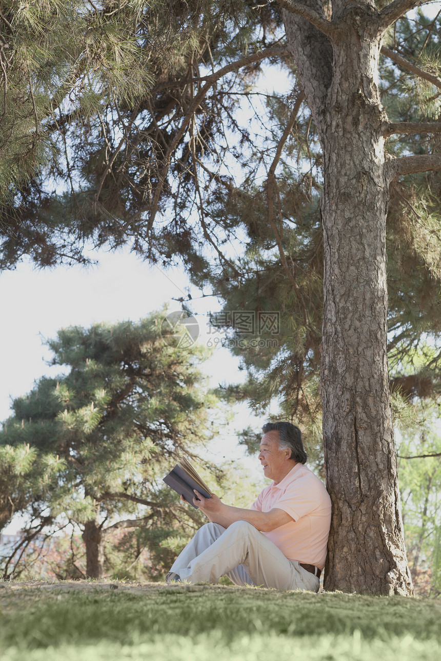 年长者在树下放松 在春天的公园里看书 北京男士白发服装摄影享受幸福活动阅读倾斜休闲图片