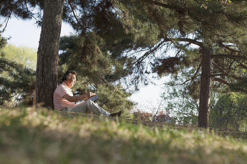 年长者在树下放松 在春天的公园里看书 北京享受阅读活动服装对象倾斜白发男士幸福水平图片