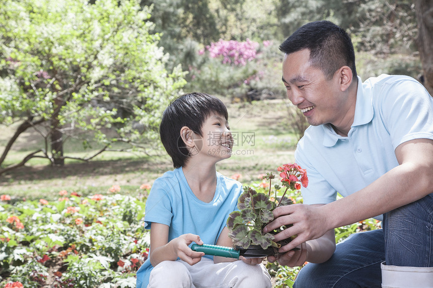 父亲和儿子种花种植活动乐趣摄影男孩们城市花园省会树木公园图片