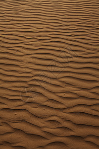 势可挡的沙丘上风势图案背景 全形时间沙漠纹理环境阴影气候摄影画幅背景