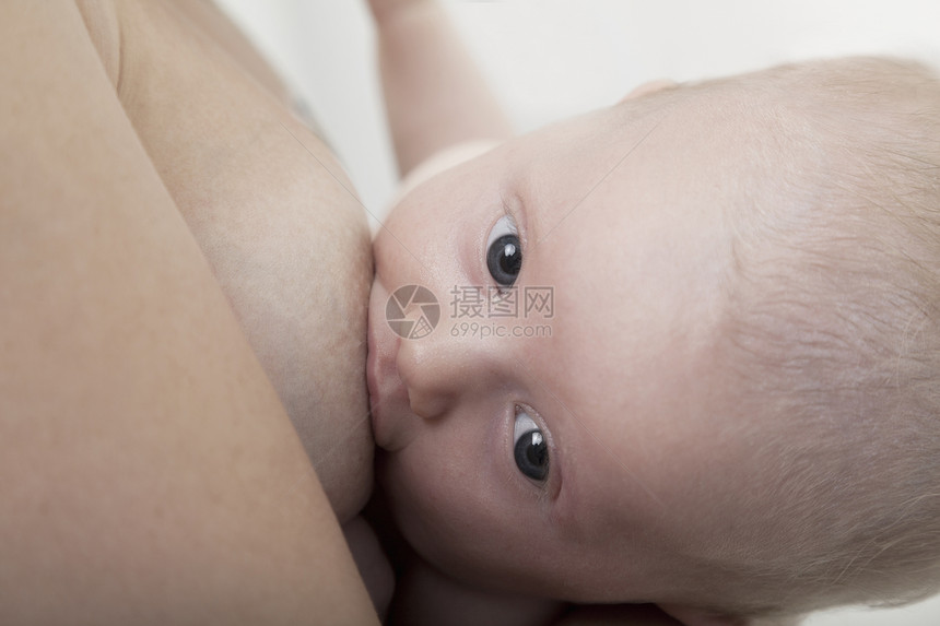 婴儿哺乳期的特写依赖性摄影吮吸女性水平团结童年孩子头肩腹部图片