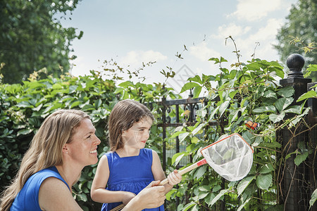 捕蝶网母亲和女儿带着蝴蝶微笑 并试图在花园中抓蝴蝶 (笑声)背景