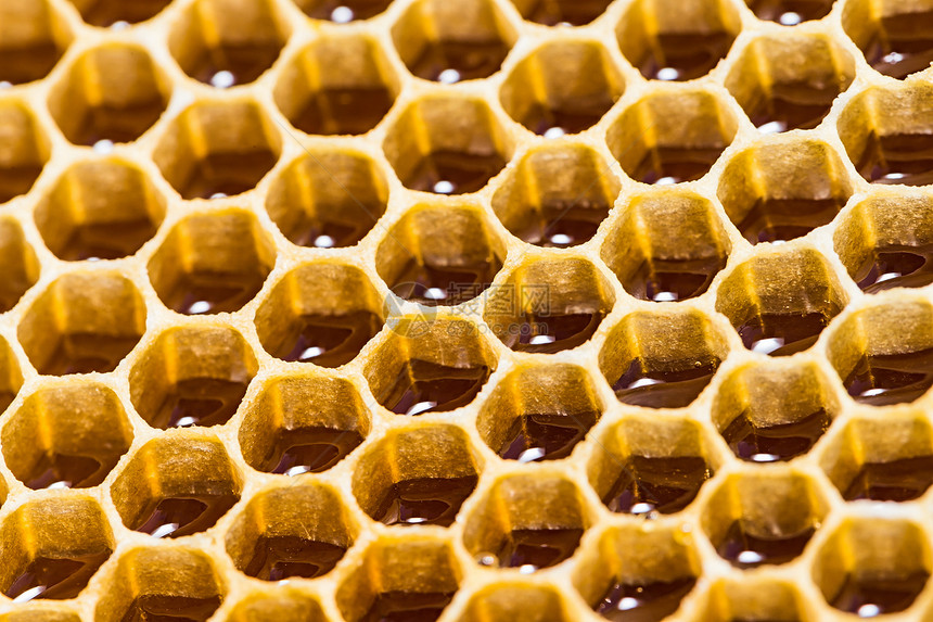 蜂蜜和蜂蜜加蜂蜜的近缝纹理金子蜂窝食物领导养蜂人六边形花粉蜜蜂细胞梳理图片