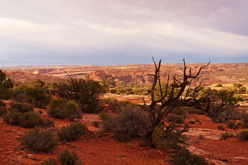 日落时的红沙漠岩石太阳旅行编队土壤沙漠公园橙子踪迹山脉图片