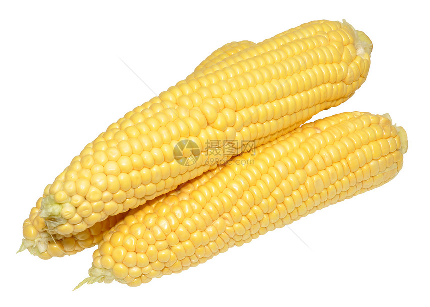 玉米在椰子上棒子蔬菜黄色核心食物营养白色生产饮食图片