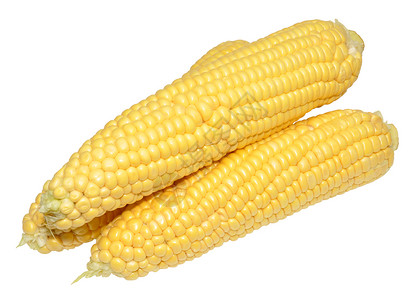 玉米在椰子上棒子蔬菜黄色核心食物营养白色生产饮食背景图片