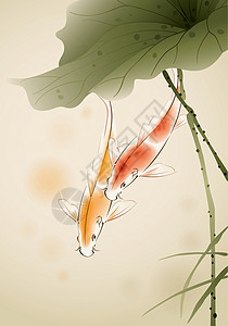 焖甲鱼莲水池中的甲鱼插画