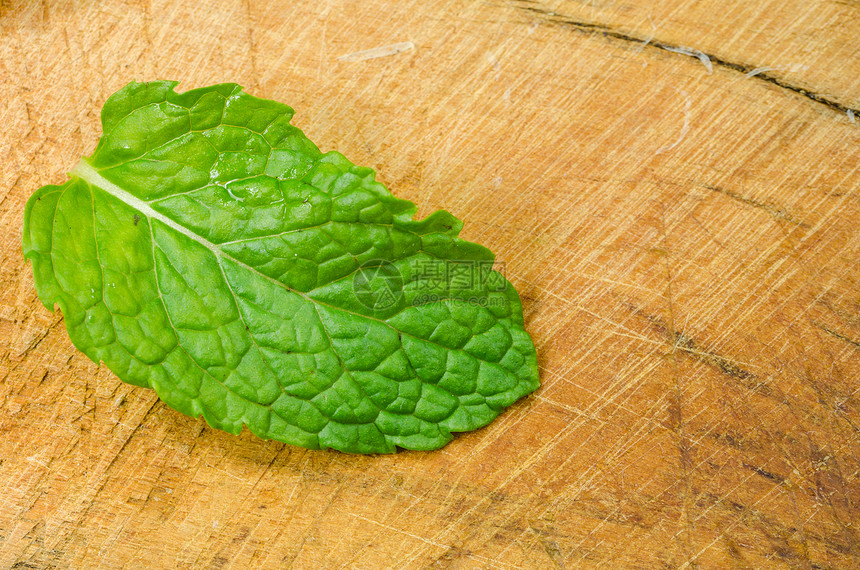 薄叶叶药品健康木头草本植物宏观植物乡村树叶薄荷图片