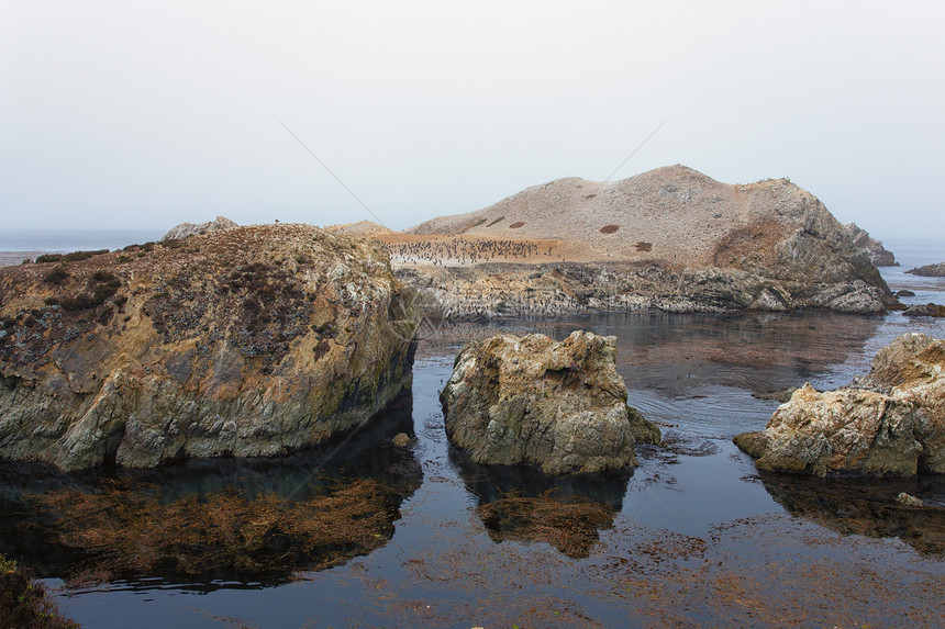 在洛博斯角国家海洋保护区的显形岩层形成情况海景国家冲浪力量风暴生态活力野生动物储备岩石图片