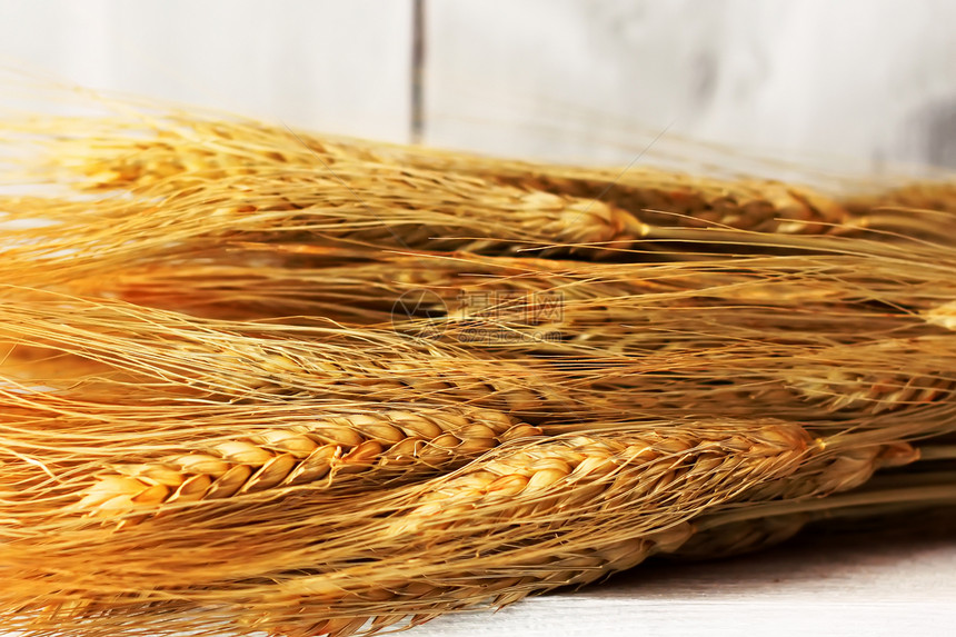 小麦稻草玉米主食射线耳朵面包乡村食物收成金子图片