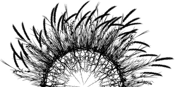 草球圆形草地植物设计插图元素场地植被背景图片