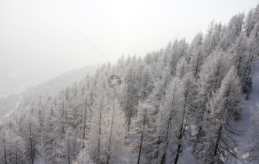 冬季山中美丽的林林天空木头气候假期降雪环境天气童话高地国家图片