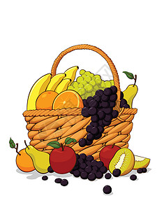 脱脂的伍登篮子中各种新鲜水果插画