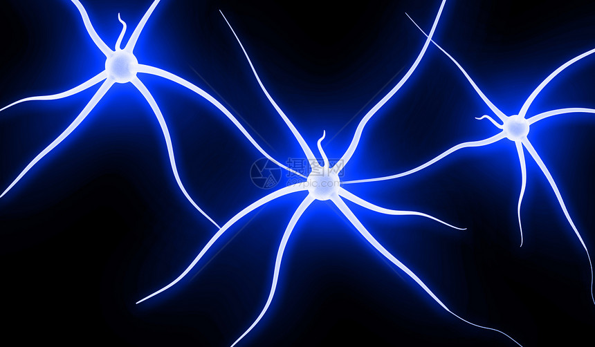 神经元基体科学生物学微生物学生物脉冲核子活力信号轴突图片