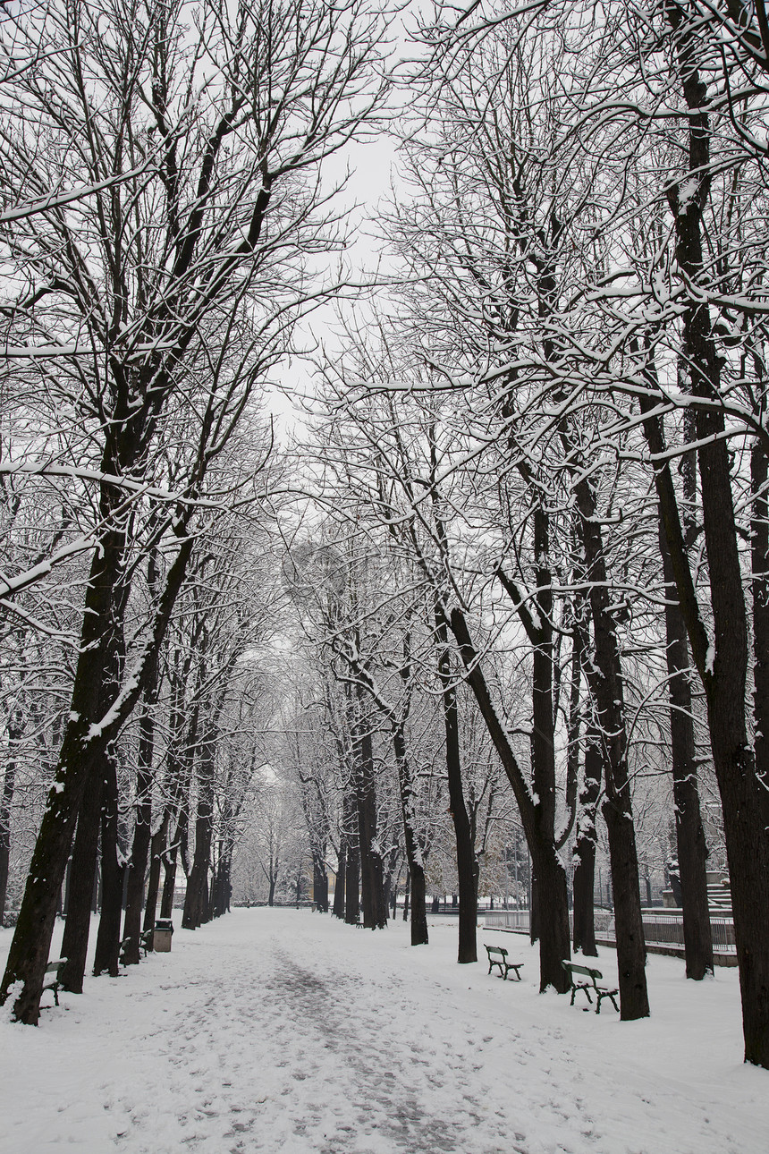 冬天白色胡同沥青场景蓝色运输旅行街道季节天际图片