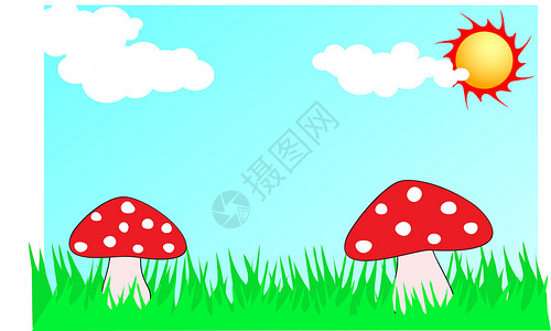 两个红色蘑菇蘑菇夏季插图插画