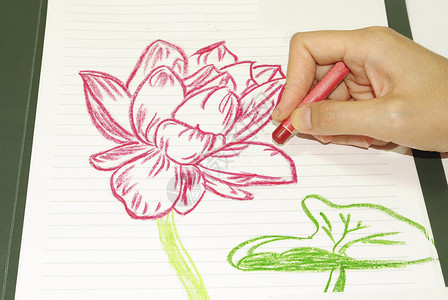 绘制花花莲邀请函蜻蜓投标礼物辉光季节植物植物群白色绘画背景图片