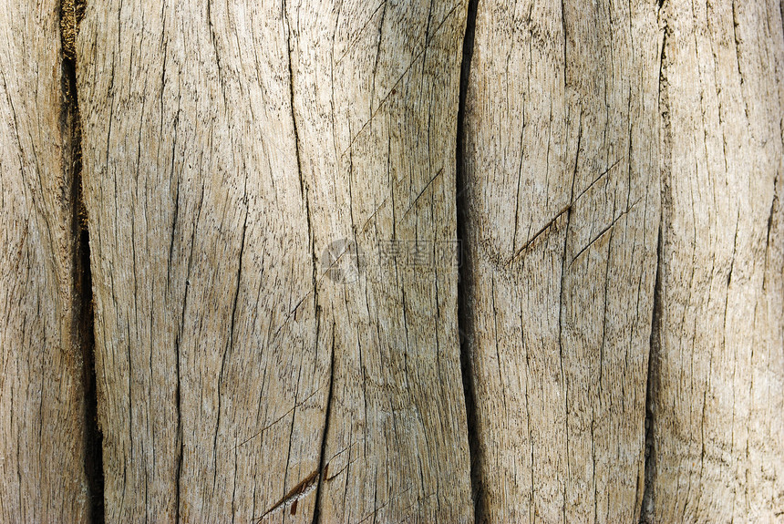 旧木墙纹理背景建造材料硬木房子棕色栅栏木头木板橡木森林图片