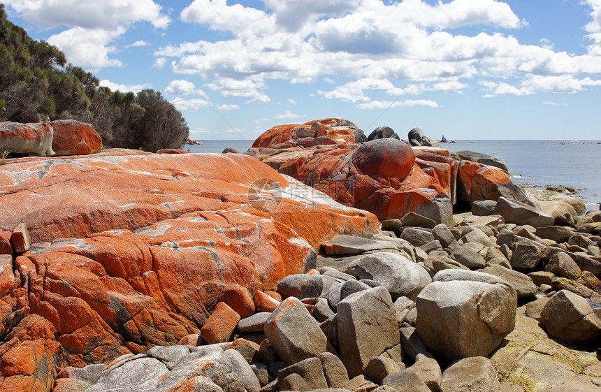 火焰湾 塔斯马尼亚 澳大利亚红色名胜海湾海岸海洋旅游假期景点风景旅行图片