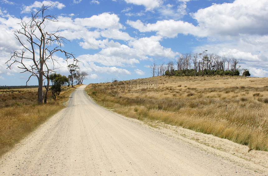 澳大利亚塔斯马尼亚州泥土路假期泥路农村基础设施旅行乡村全景运输图片