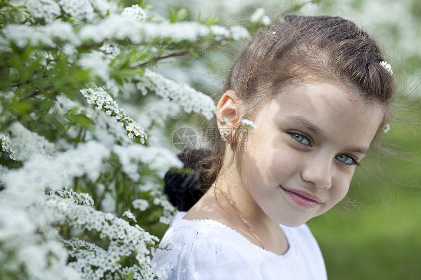 春花中美丽的小女孩的肖像女学生女性微笑快乐小姑娘童年孩子衬套头发灌木图片