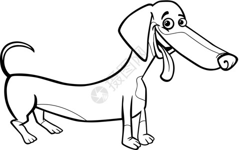 用于彩色书籍的漫画染色鼻子卡通片宠物舌头黑色绘画插图犬类小狗背景图片