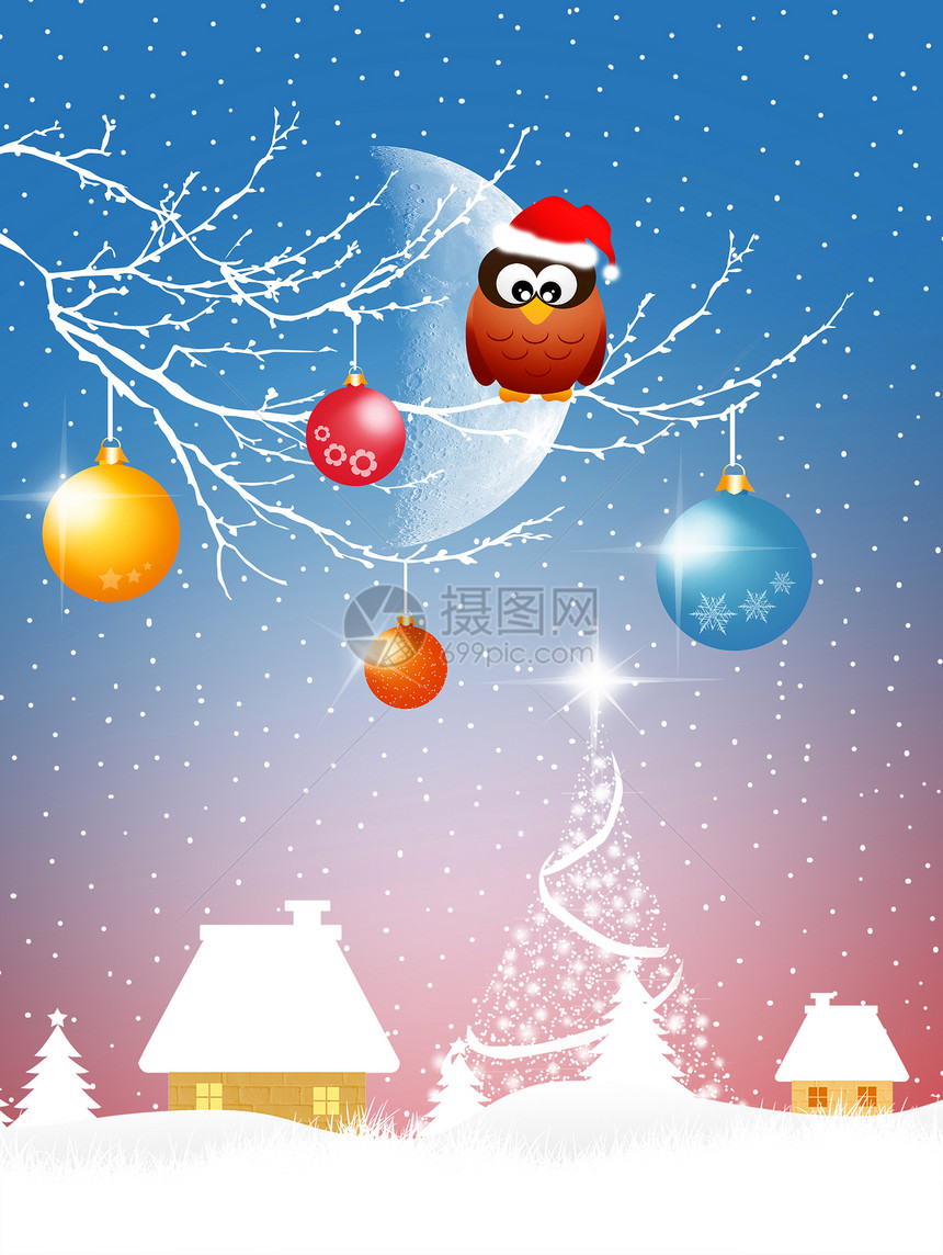 圣诞节猫头鹰雪橇插图圣诞袜鸟类分支机构庆典图片