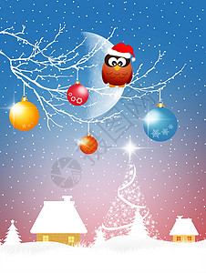 圣诞节猫头鹰雪橇插图圣诞袜鸟类分支机构庆典背景图片