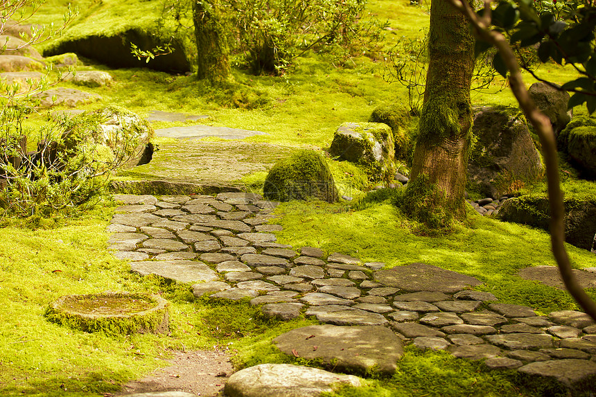 日本花园文化小路海浪乡村石头松树风景传统公园岩石图片