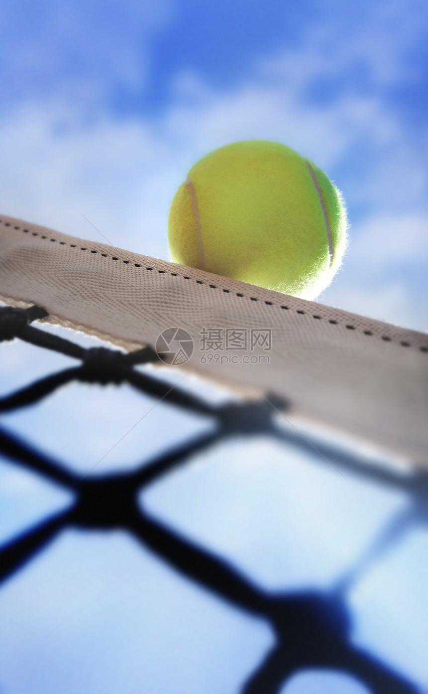 网边的网球图片