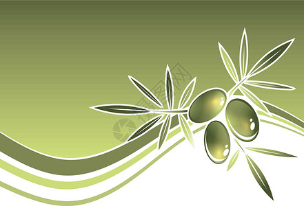 橄榄树素材橄榄树框架插画
