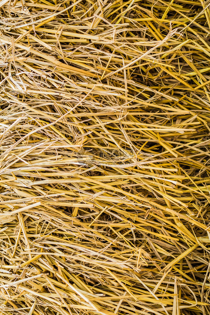 干草切合图像作为自然背景金子小麦墙纸叶子宏观农村植物稻草农场国家图片