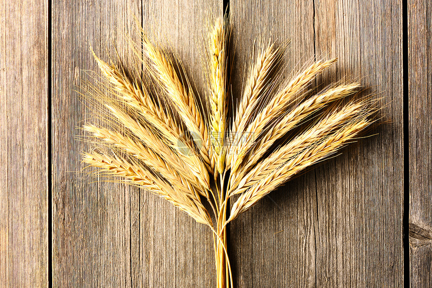 木本底的Rye 小麦粮食食物静物烹饪谷物农业面包桌子小穗木板图片