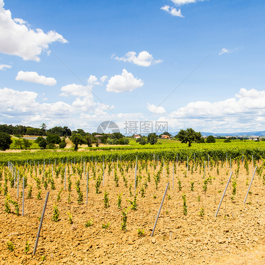 托斯卡纳酒庄园天空酒厂土地场地农村村庄地平线农业生长绿色图片