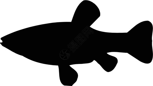 比目鱼矢量环形鱼鲨鱼动物园动物海洋餐厅野生动物插图荒野喜悦游泳插画