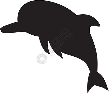 海豚 白色背景的矢量环影背景图片