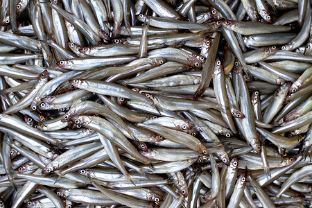 鱼食物海鲜市场背景图片