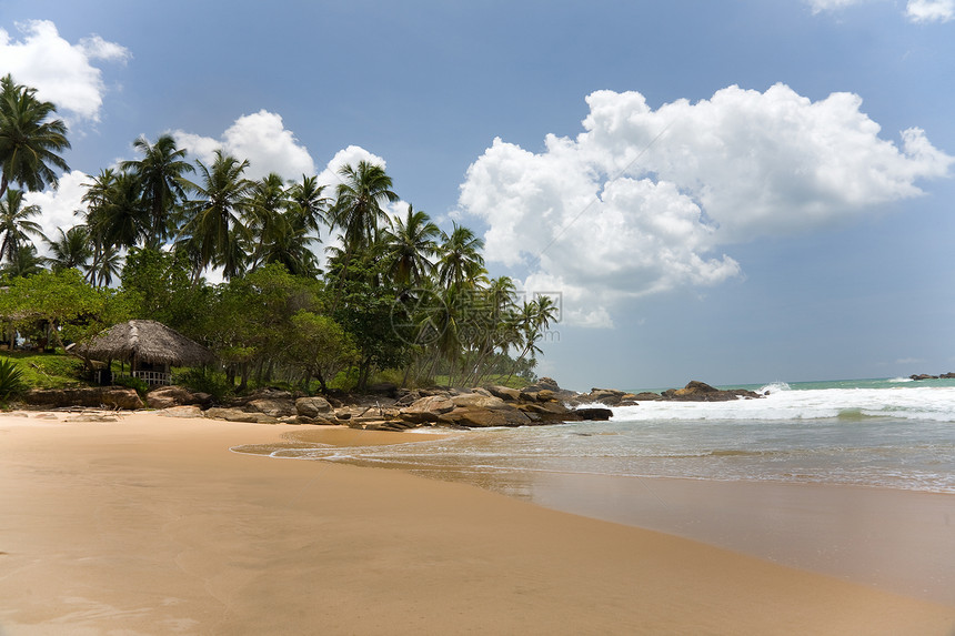 热带天堂 海滩上有树木和房屋 与蓝SK对抗图片